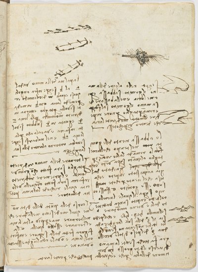 Código sobre el vuelo de los pájaros, c. 1505-06, manuscrito en papel, cc. 18, hoja 18 recto de Leonardo da Vinci